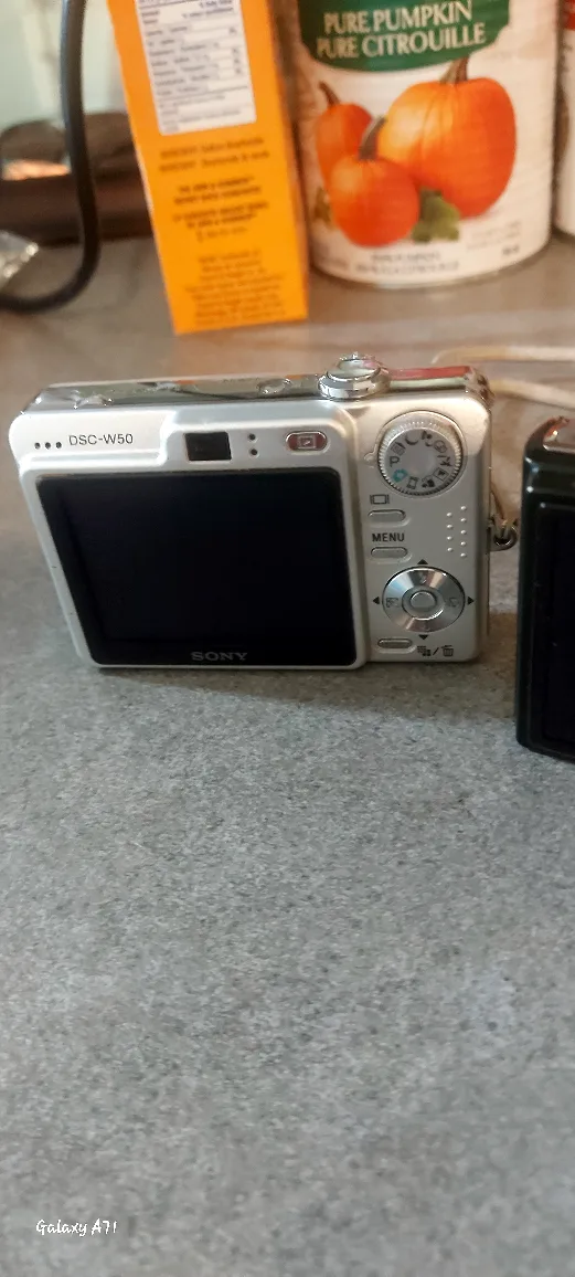 ***(TWO) DIGITAL CAMERAS*** image indicator(4)