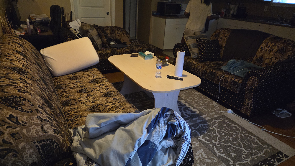 Patterned Sofa and Loveseat Set - photo 2