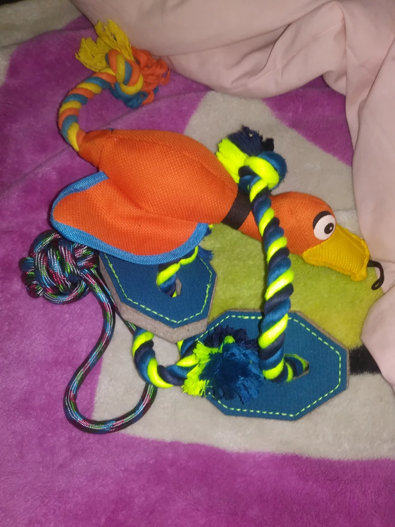 Dog Toy - Duck bundle