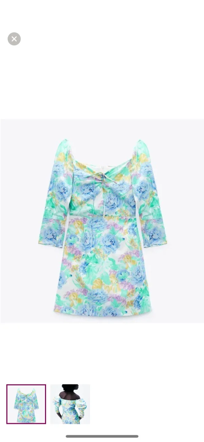 Zara Floral Print Mini Dress