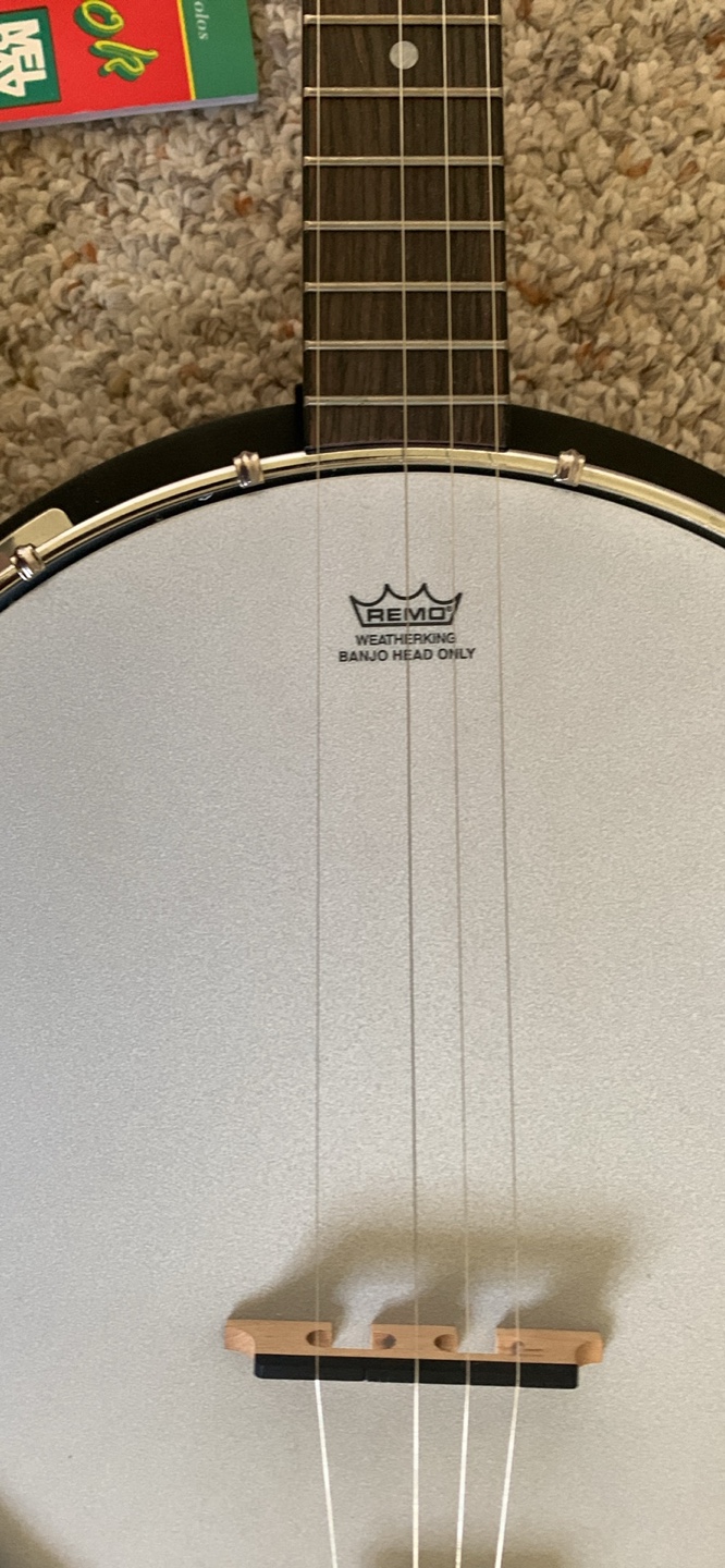 Washburn Banjo with Case - photo 3