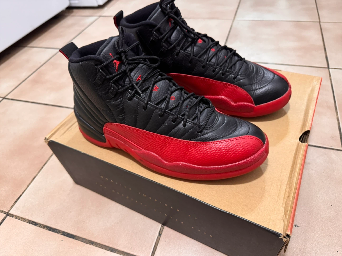 Air Jordan 12 “Flu Game”