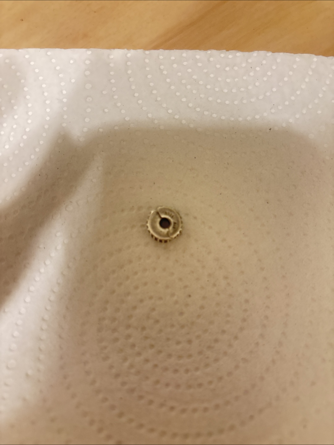 pandora charm
