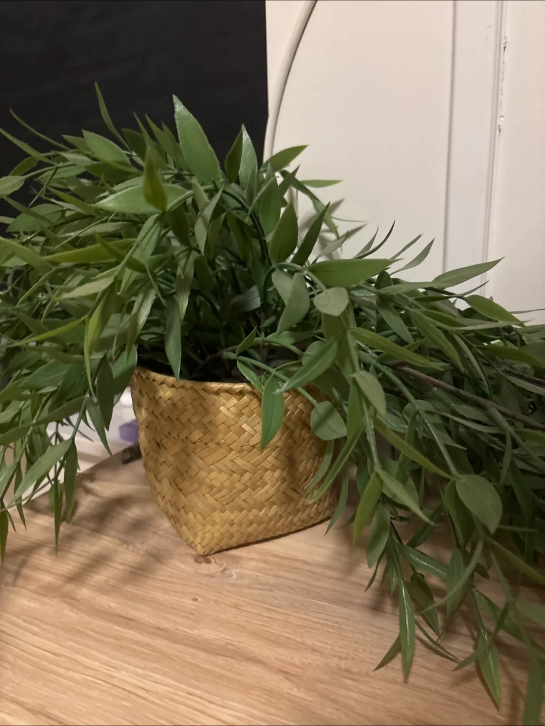 Fake Plant