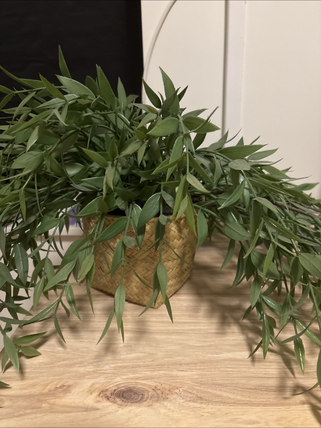 Fake Plant - photo 2