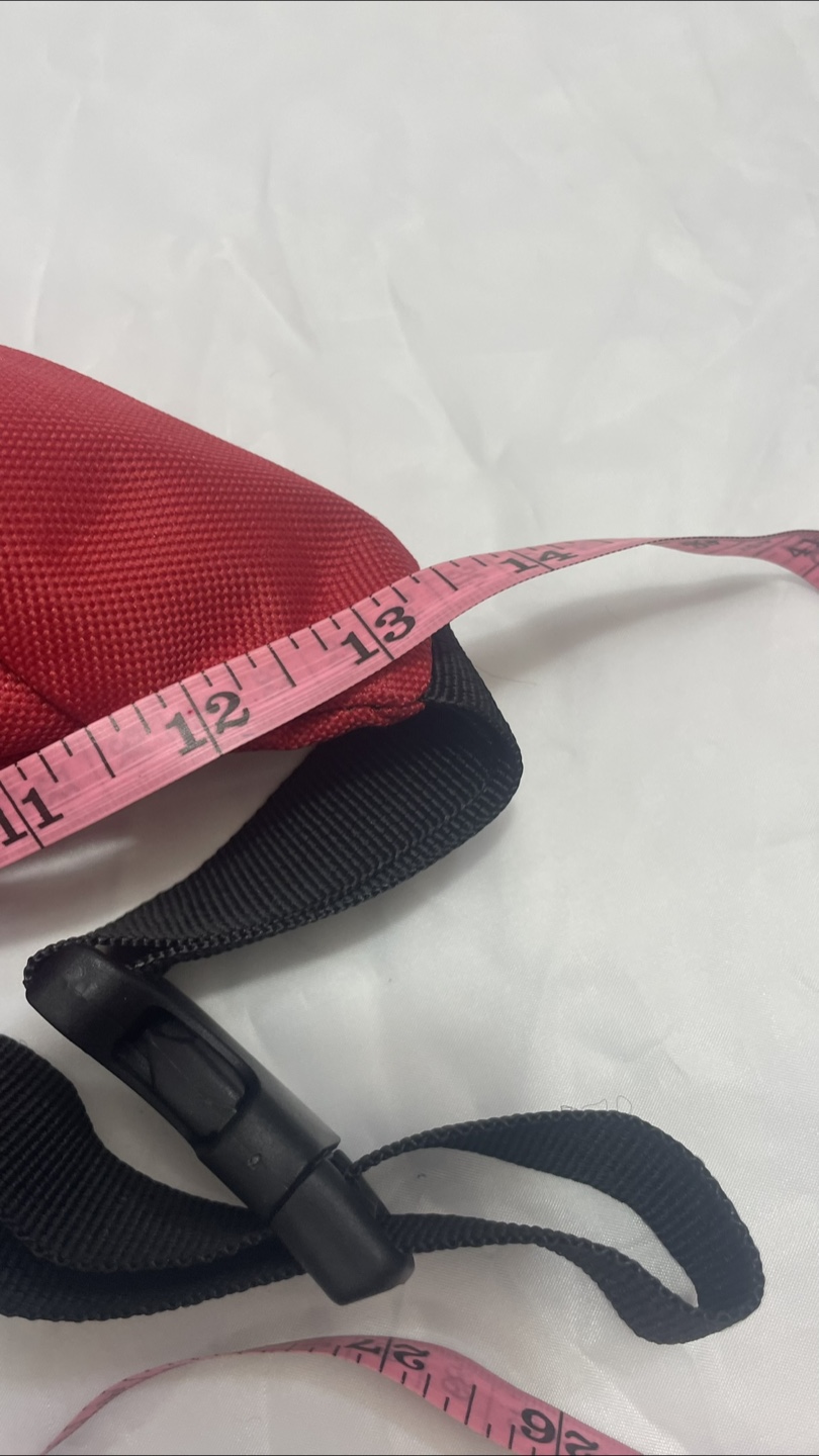 Ottawa Senators & WWE Fanny Pack - photo 4