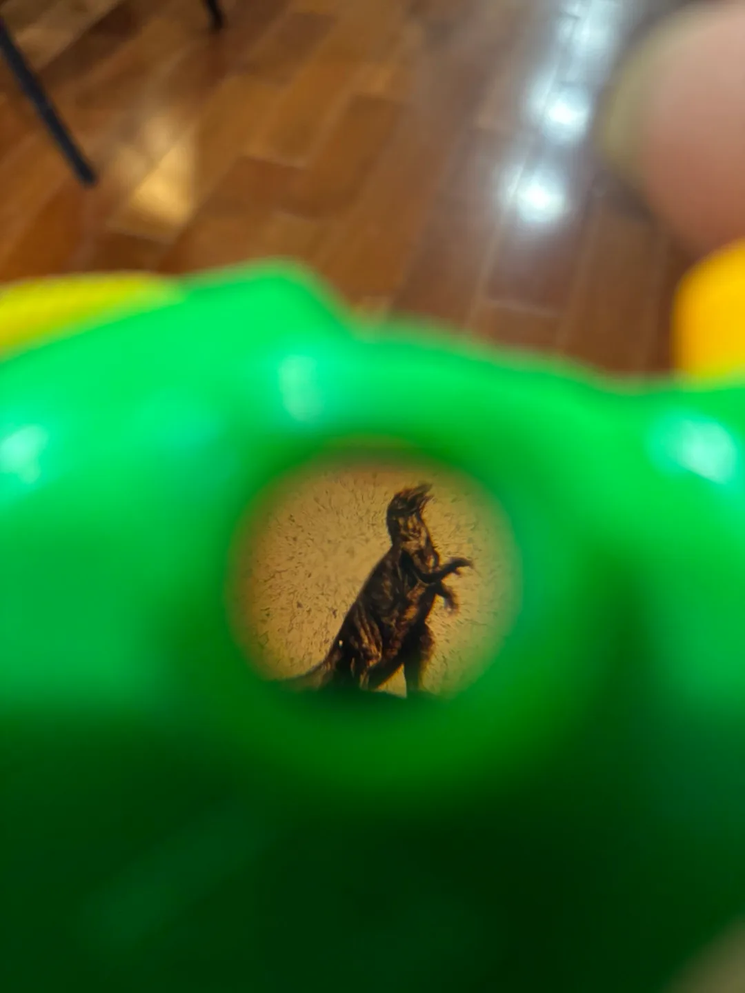 Dinosaur Projector Camera Toy (view-master-like) image indicator(3)