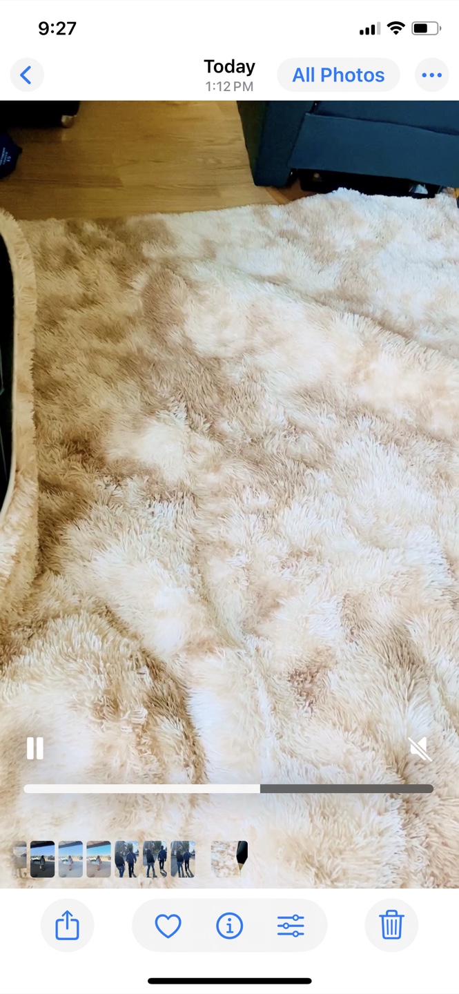 9’x12’ Rocyjulin Area Rug - photo 2