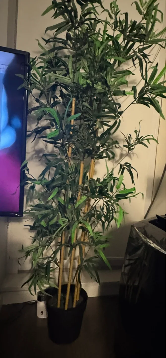 Artificial Bamboo Tree thumbnail