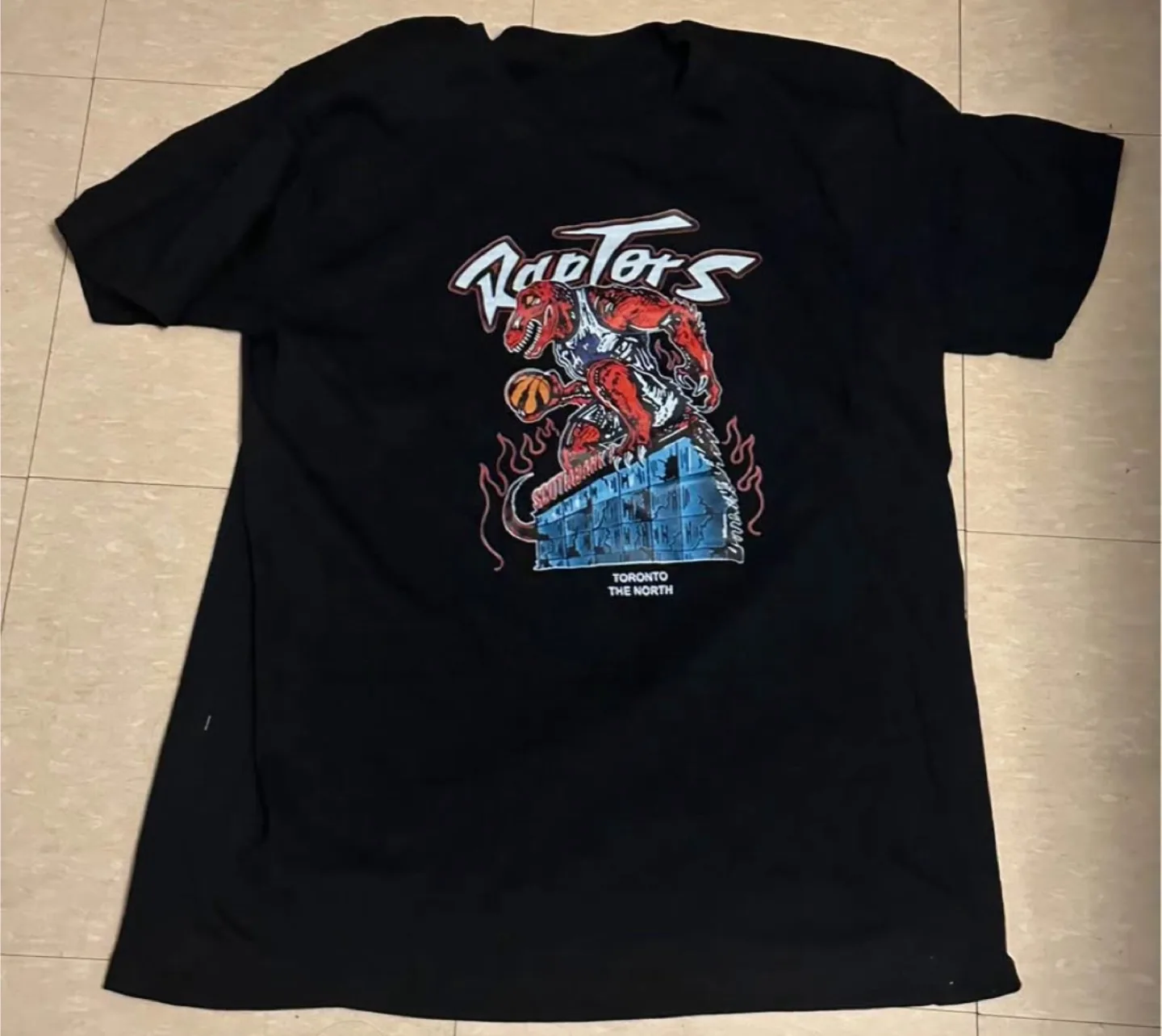 Toronto Raptors Graphic T-Shirt thumbnail