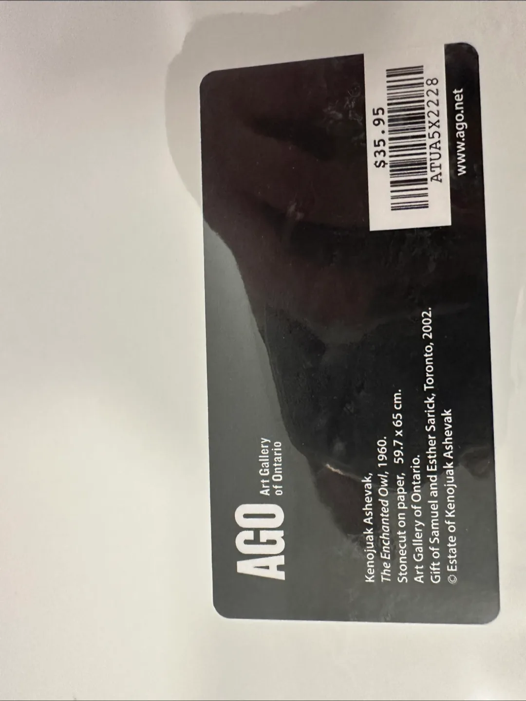 AGO Kenojuak Ashevak Print - The Enchanted Owl image indicator(2)