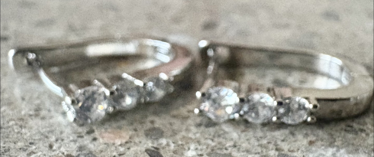 Mia Sarine Silver Plated Cubic Zirconia Earrings New - photo 4