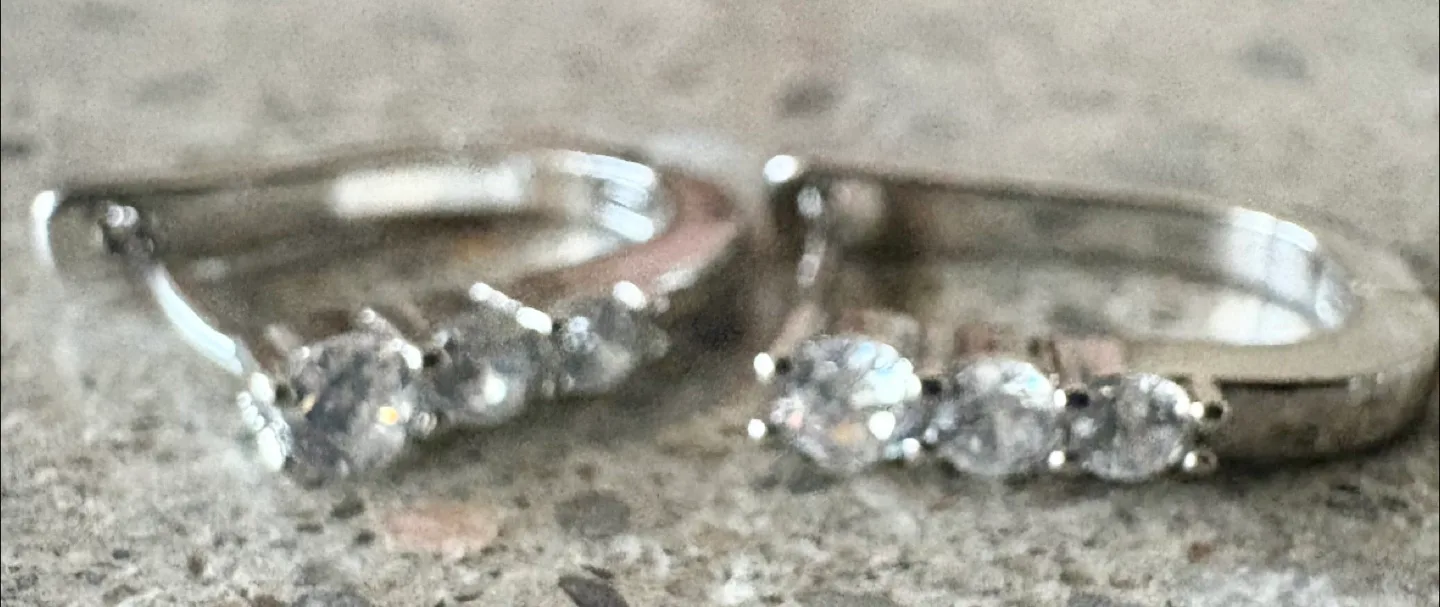 Mia Sarine Silver Plated Cubic Zirconia Earrings New image indicator(4)