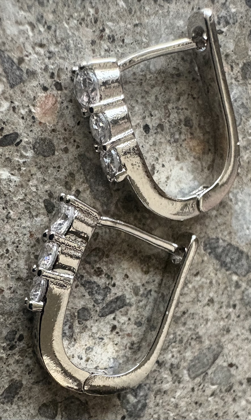 Mia Sarine Silver Plated Cubic Zirconia Earrings New - photo 5