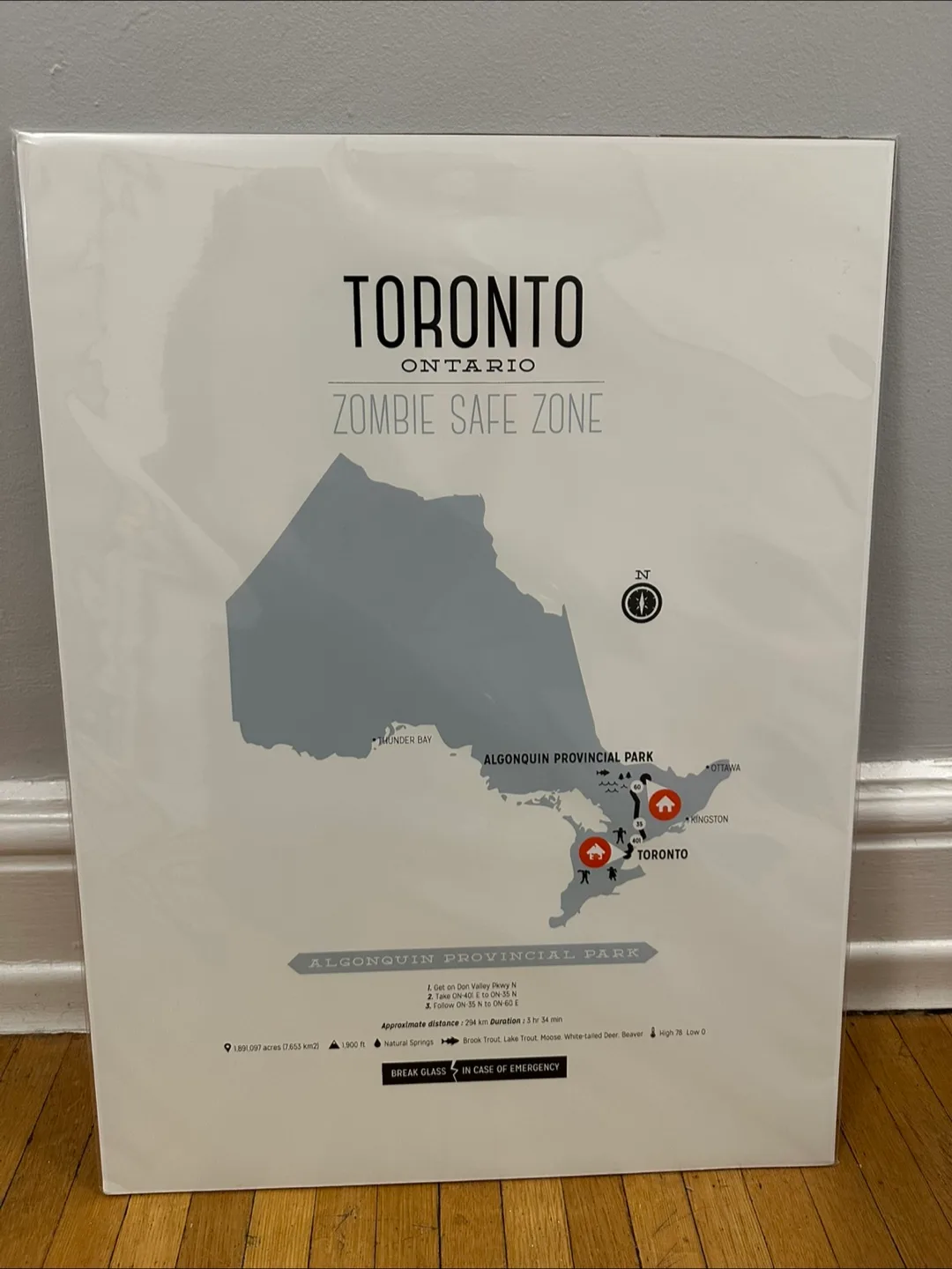 Toronto Zombie Safe Zone Art thumbnail