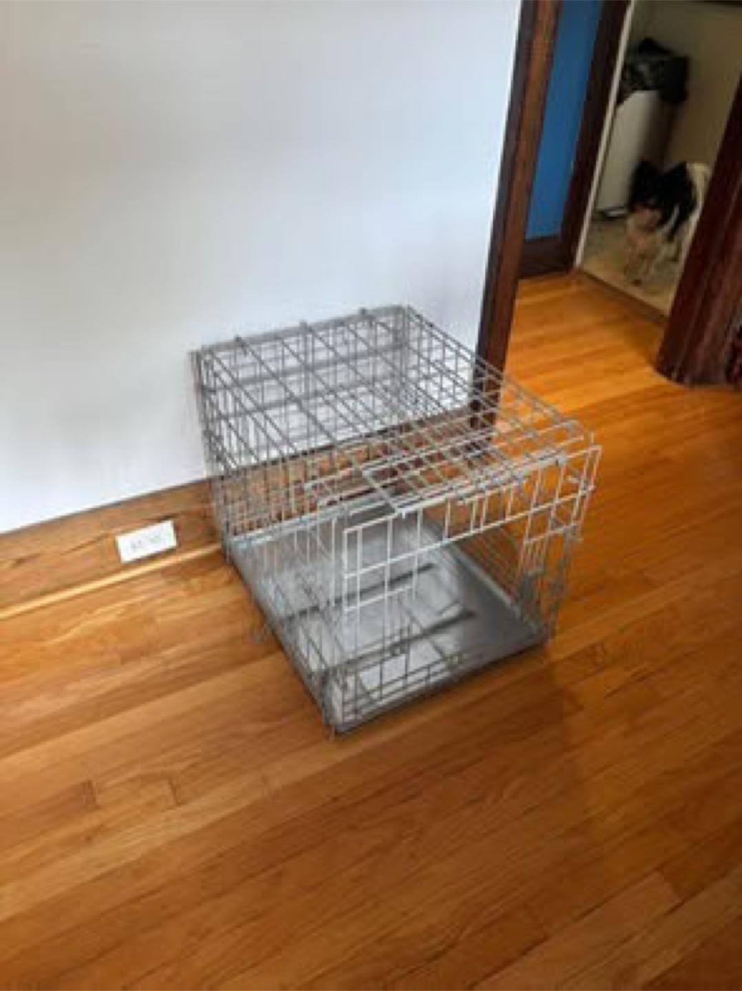 Dog Crate - Metal Wire (foldable) - photo 2