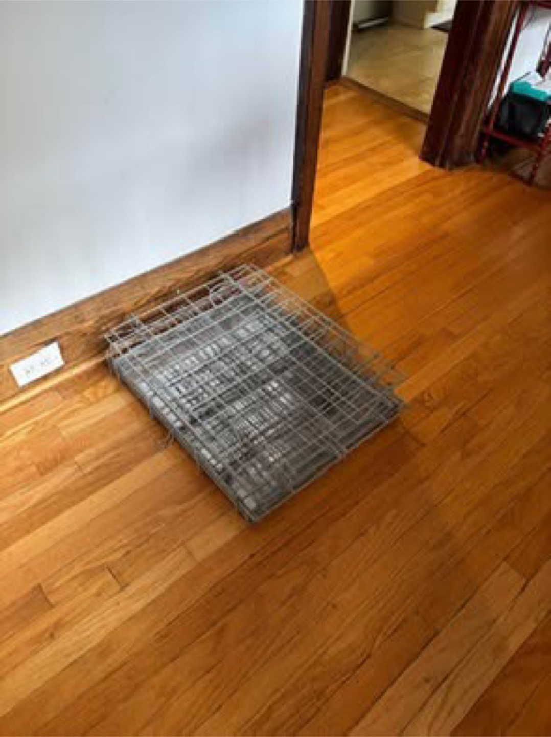 Dog Crate - Metal Wire (foldable) - photo 3