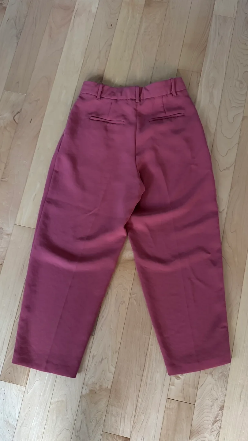 Aritzia Wilfred Free Size 8 Pants image indicator(2)