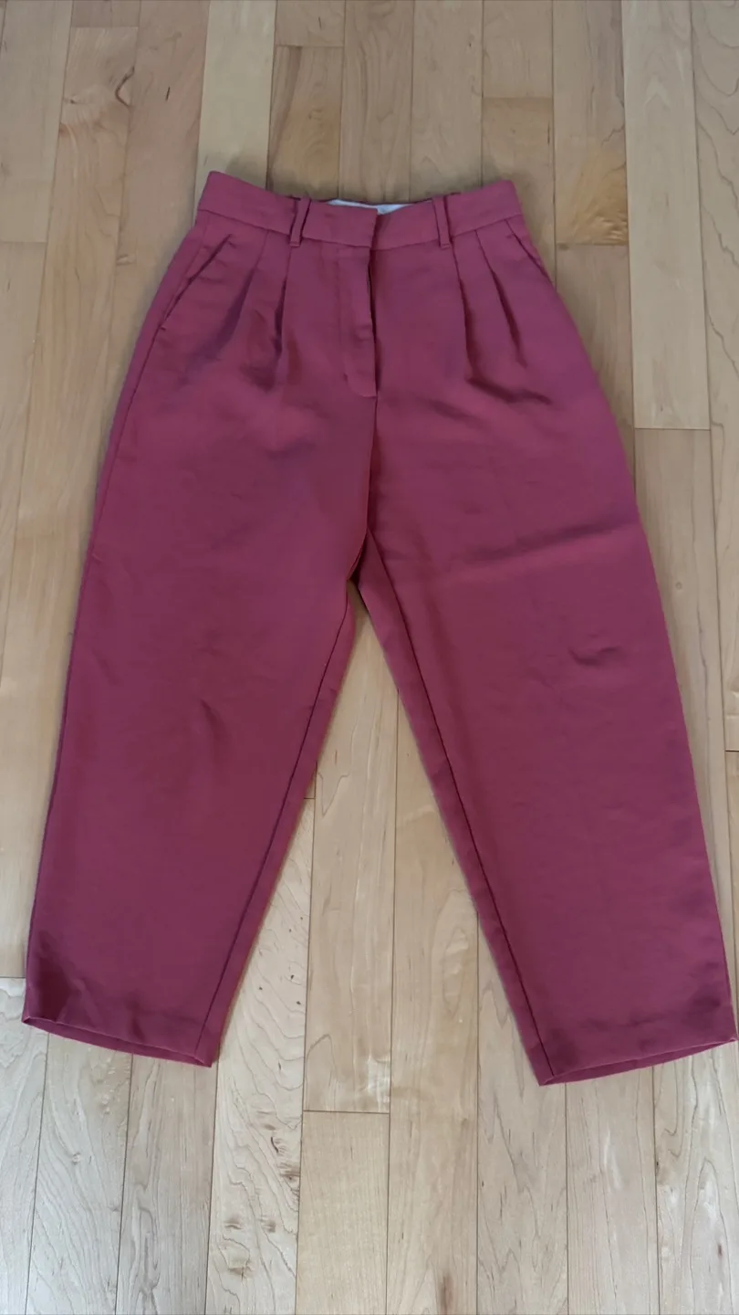 Aritzia Wilfred Free Size 8 Pants thumbnail