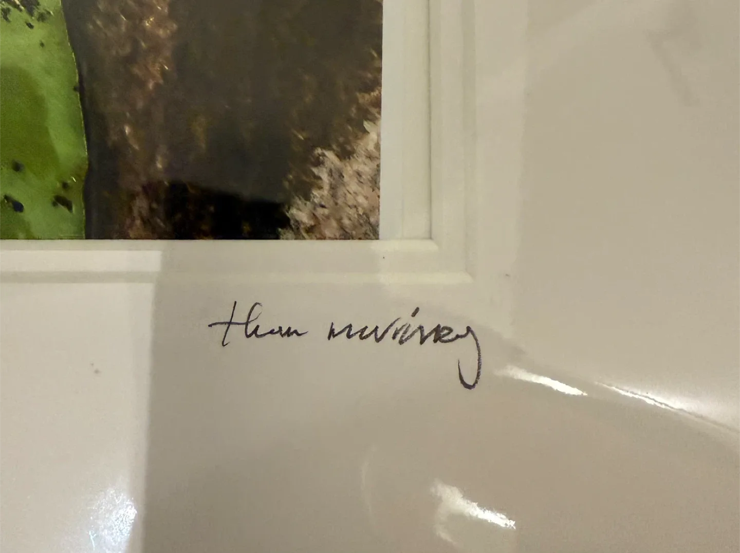 Mounted photo (18 x 24) - “Lily Light” image indicator(3)