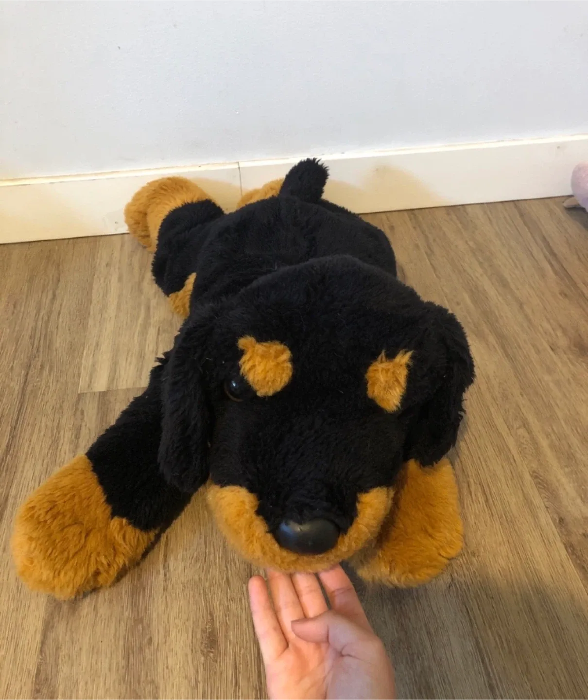 Assorted Plush Toys - Bundle TY, Bennie baby, bears, dogs, etc. image indicator(9)