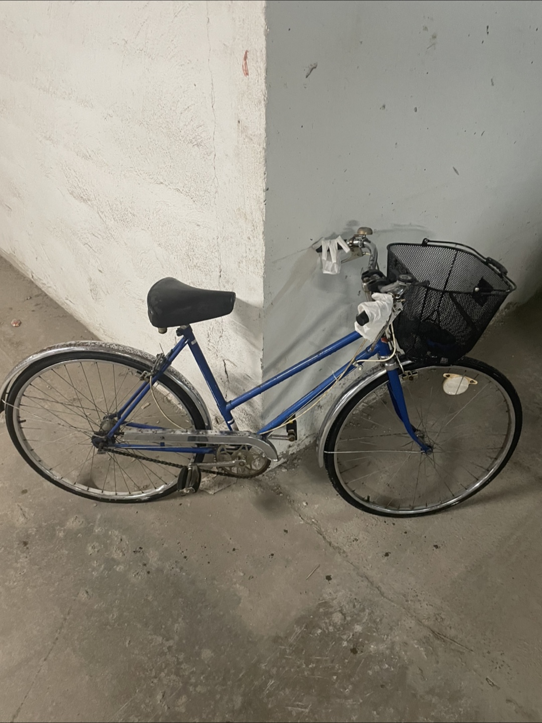 Blue Bicycle with Basket