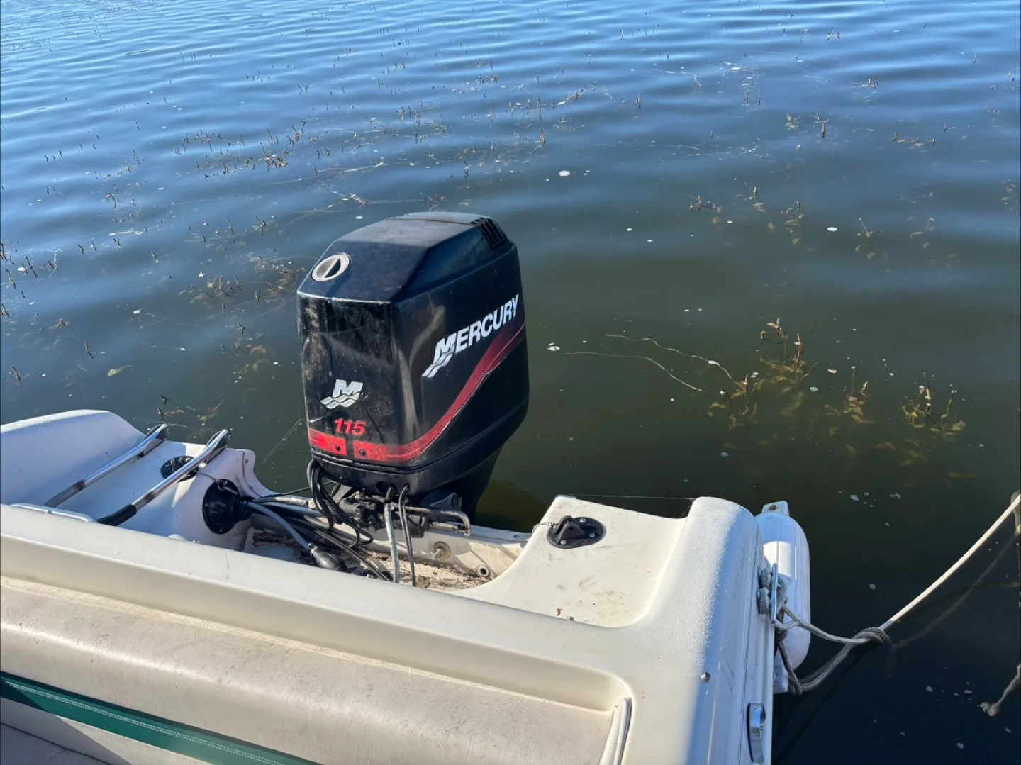 Legend Boat with Mercury 115 Engine image indicator(5)