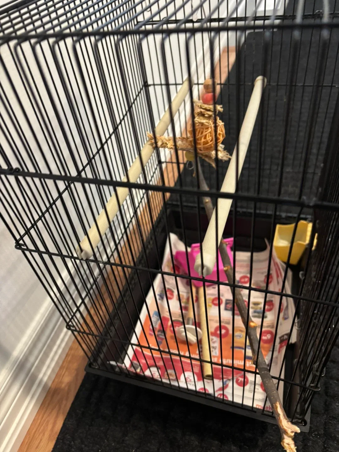 Bird Cage - Black thumbnail
