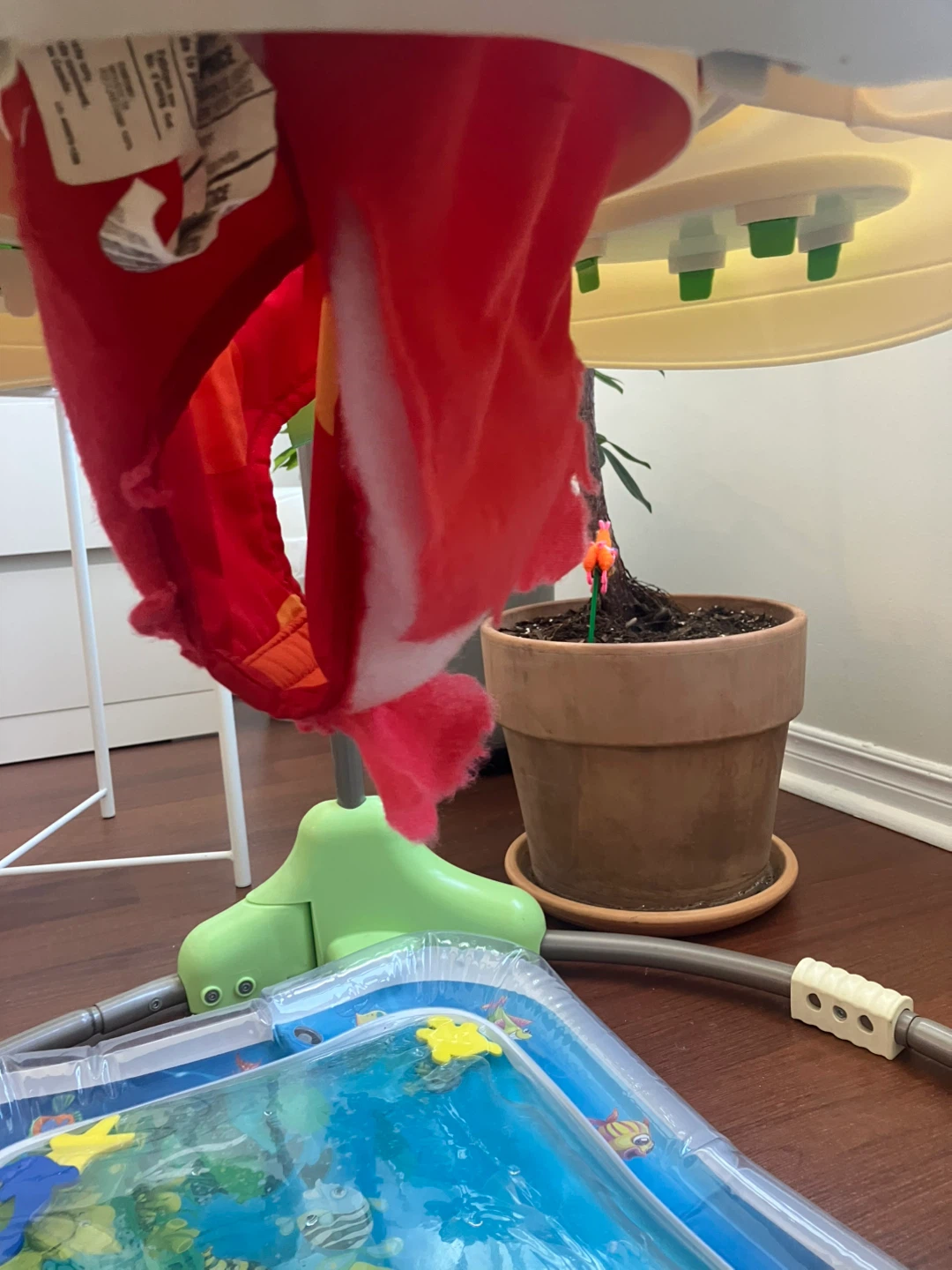 Baby Jumperoo - photo 2