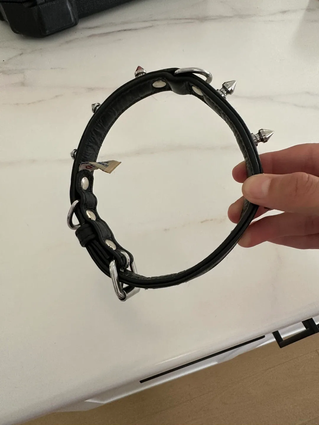 Puppy collar image indicator(2)