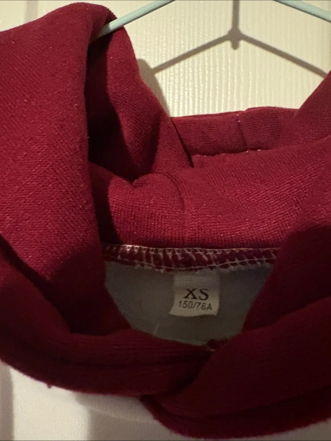 Cactus Hoodie image indicator(2)