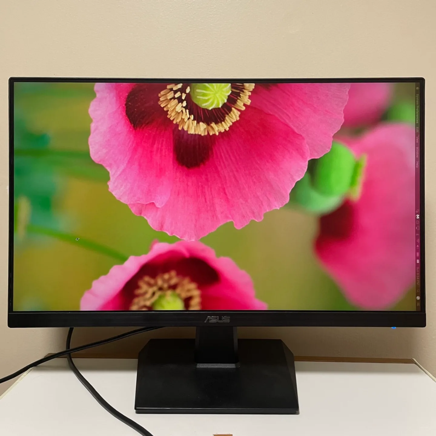 ASUS 24" 75Hz FHD eye care Monitor thumbnail