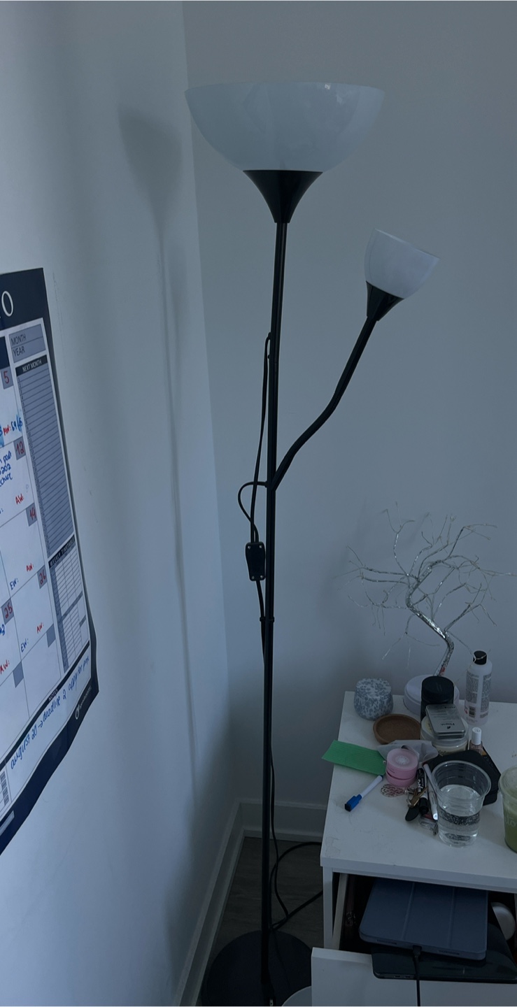 Floor Lamp with Reading Light