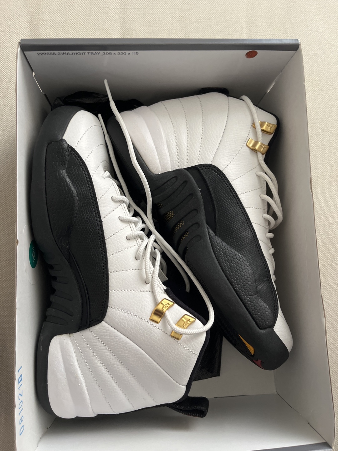 Jordan 12 Taxi Size 6Y