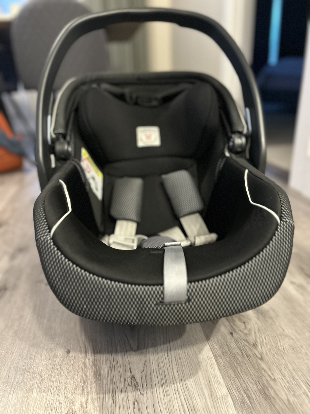 Peg Perego Viaggio 4-35 Nido Infant Car Seat - photo 4