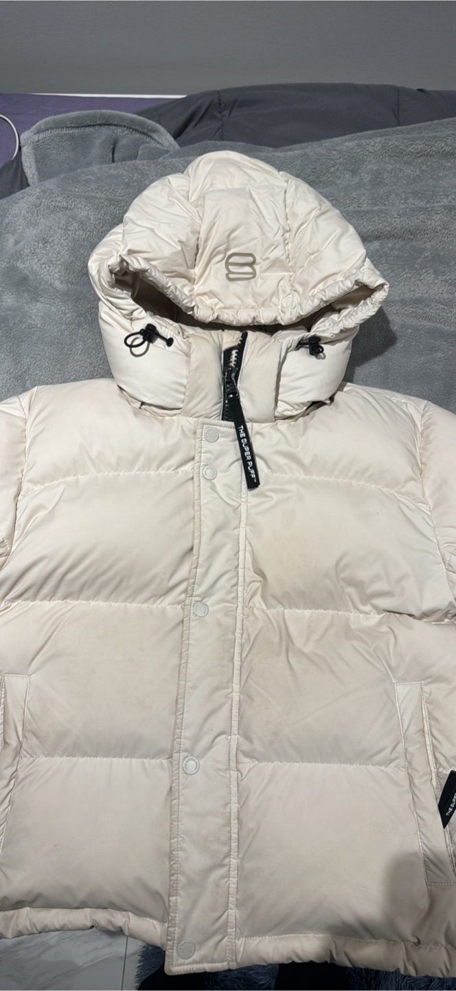 Aritzia The Super Puff™ - cliMATTE, small/matte pearl