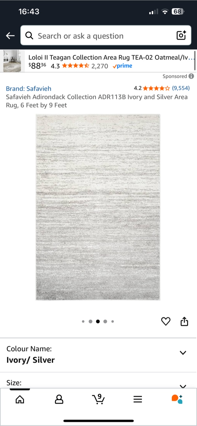 Safavieh Adirondack Ivory/Silver Area Rug 6ft x 9ft - photo 2