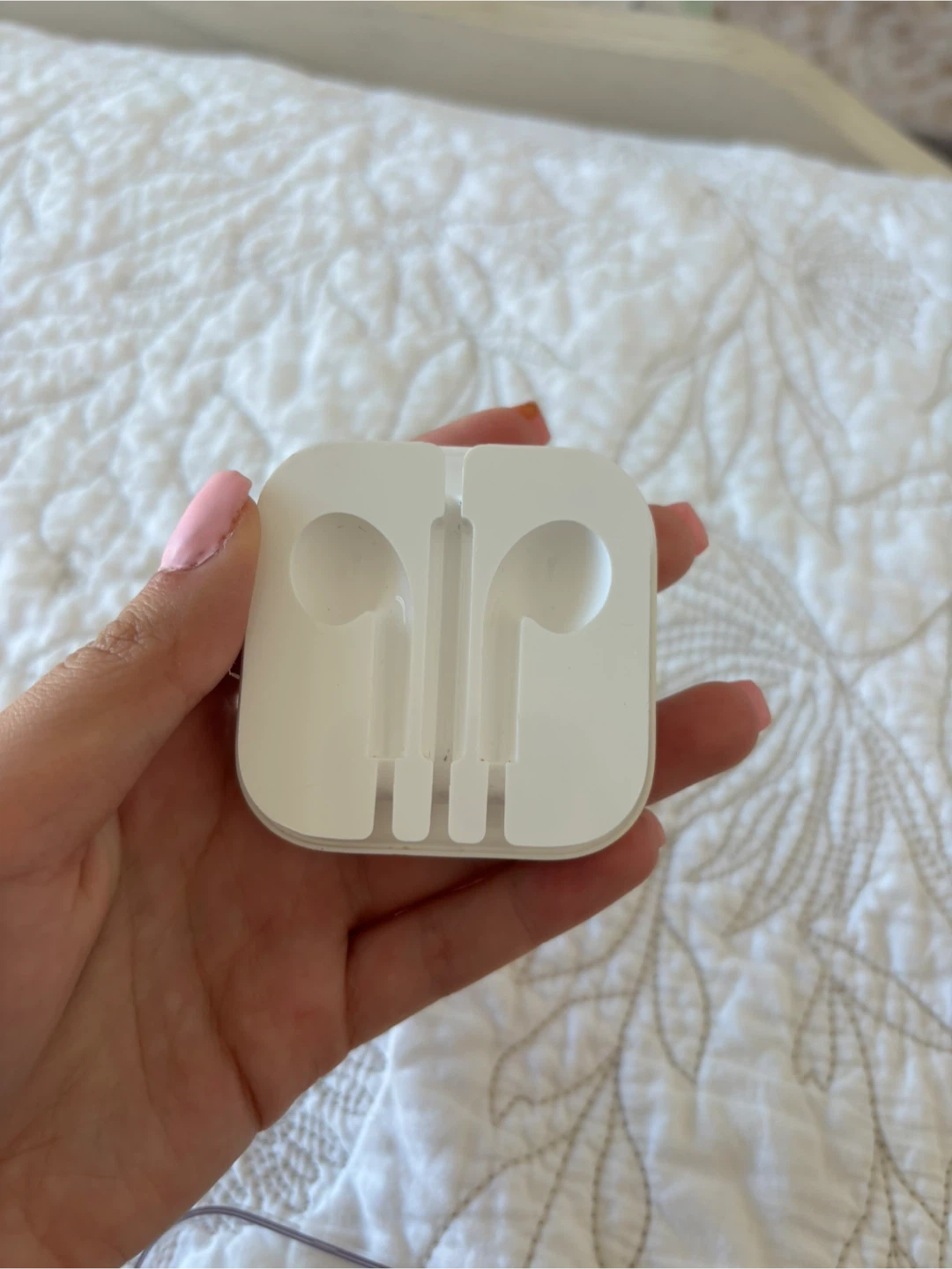 Apple Headphone case