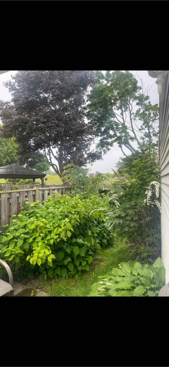 Room for rent north Oshawa