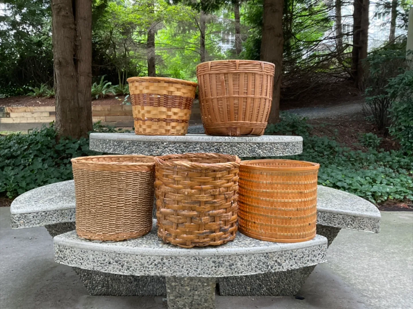 5 Indoor Plant Baskets for $10 thumbnail