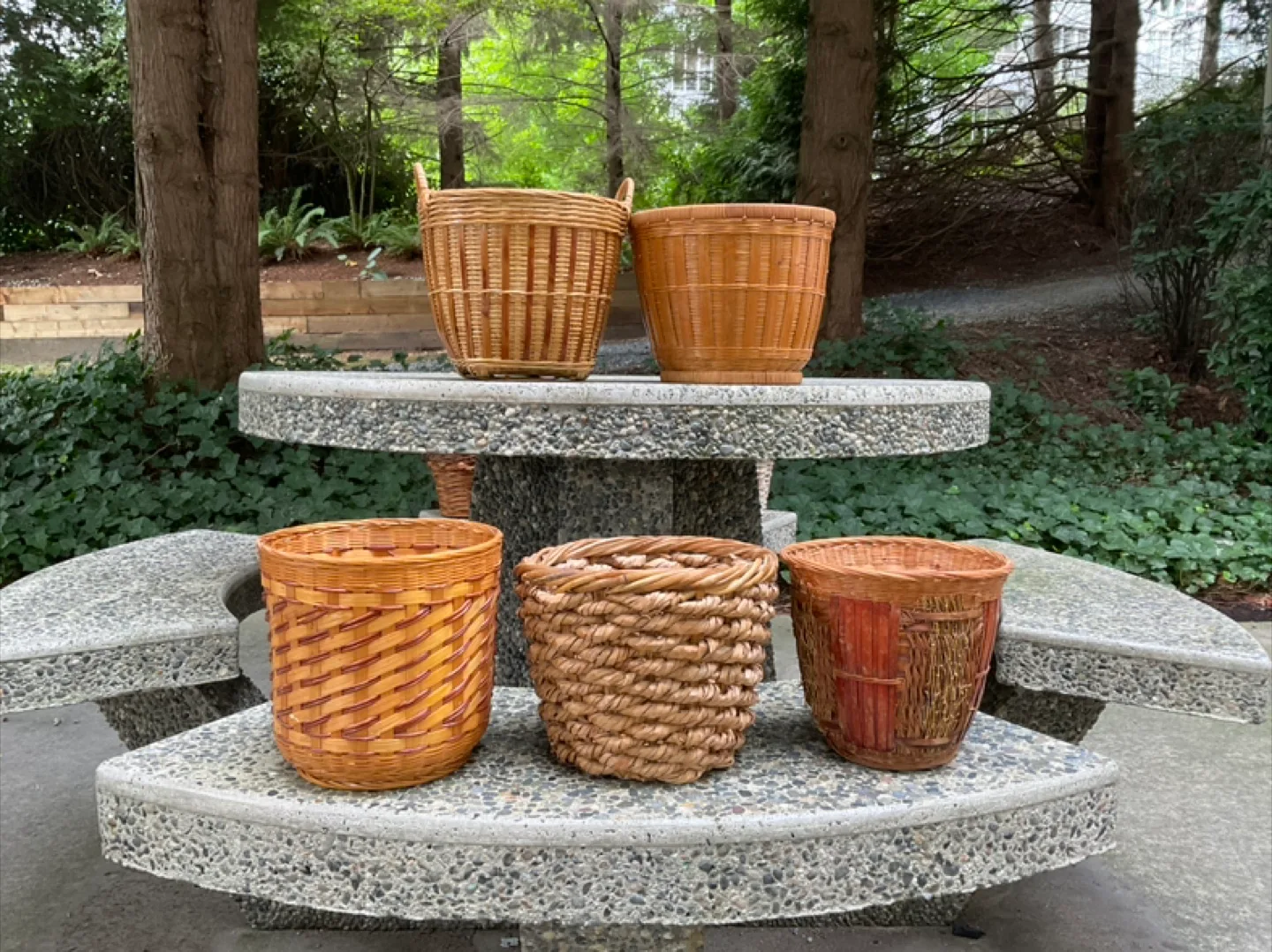 5 Indoor Plant Baskets for $10 thumbnail