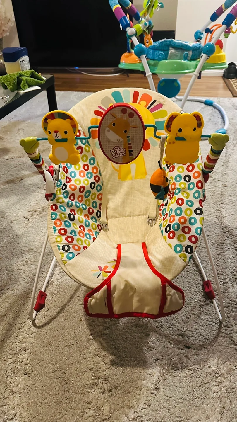 Bright Starts Baby Bouncer thumbnail