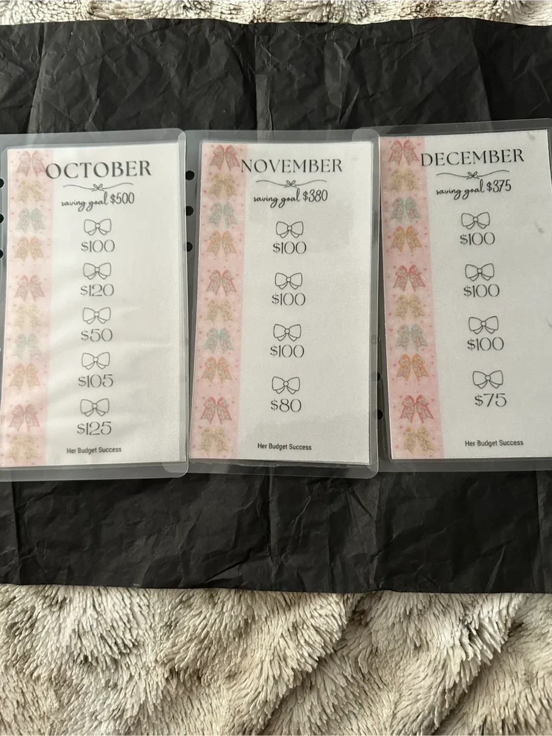 Monthly Savings Binder image indicator(5)