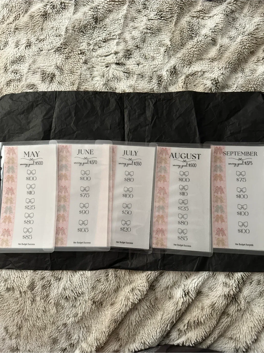 Monthly Savings Binder image indicator(4)