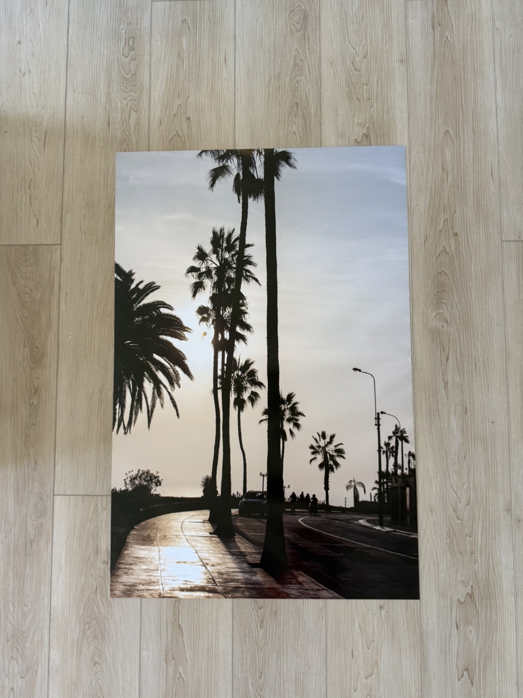 Sunset palm trees poster 24x36 inches