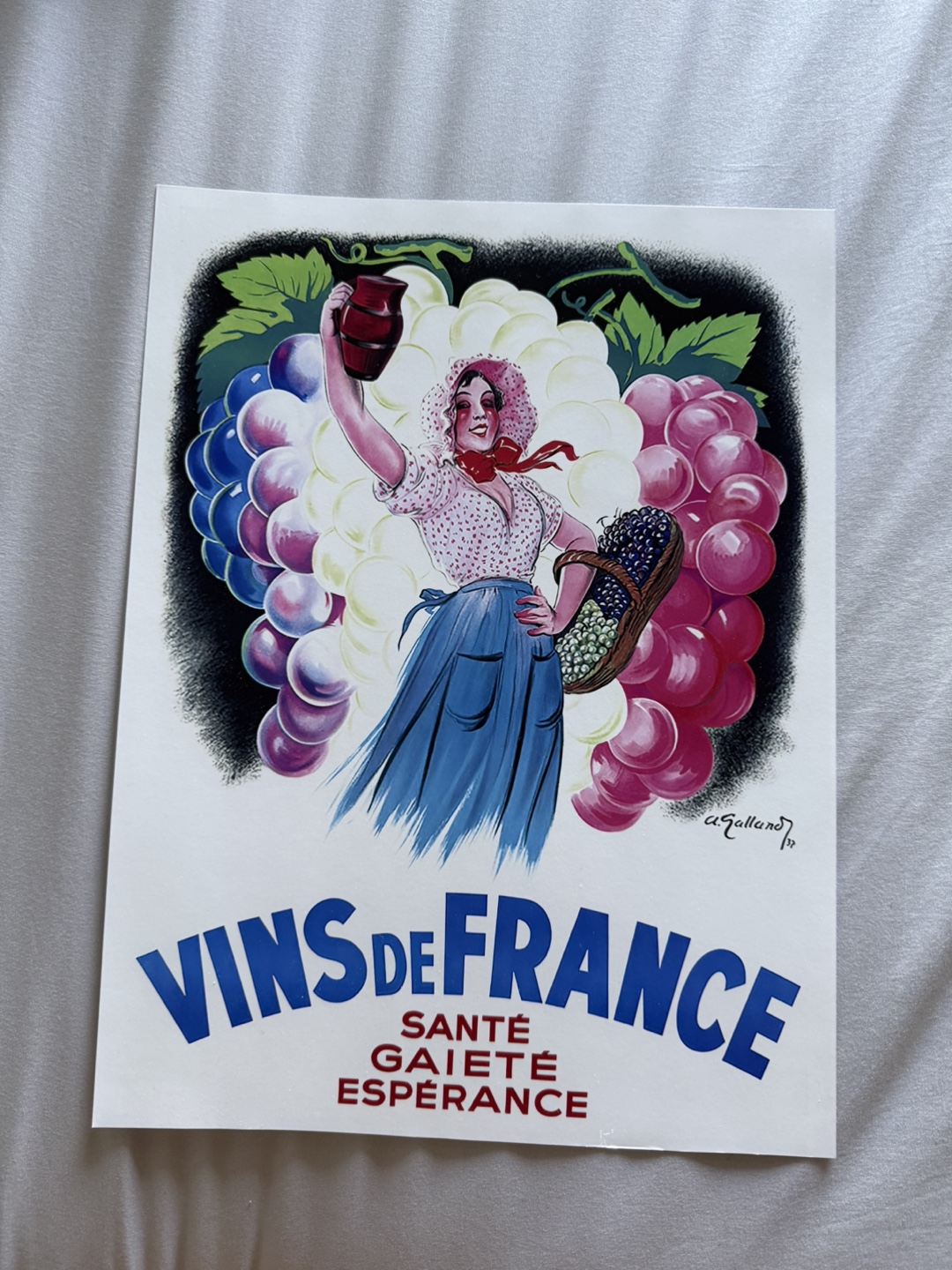 Vins de France Vintage Poster 12x16 inches