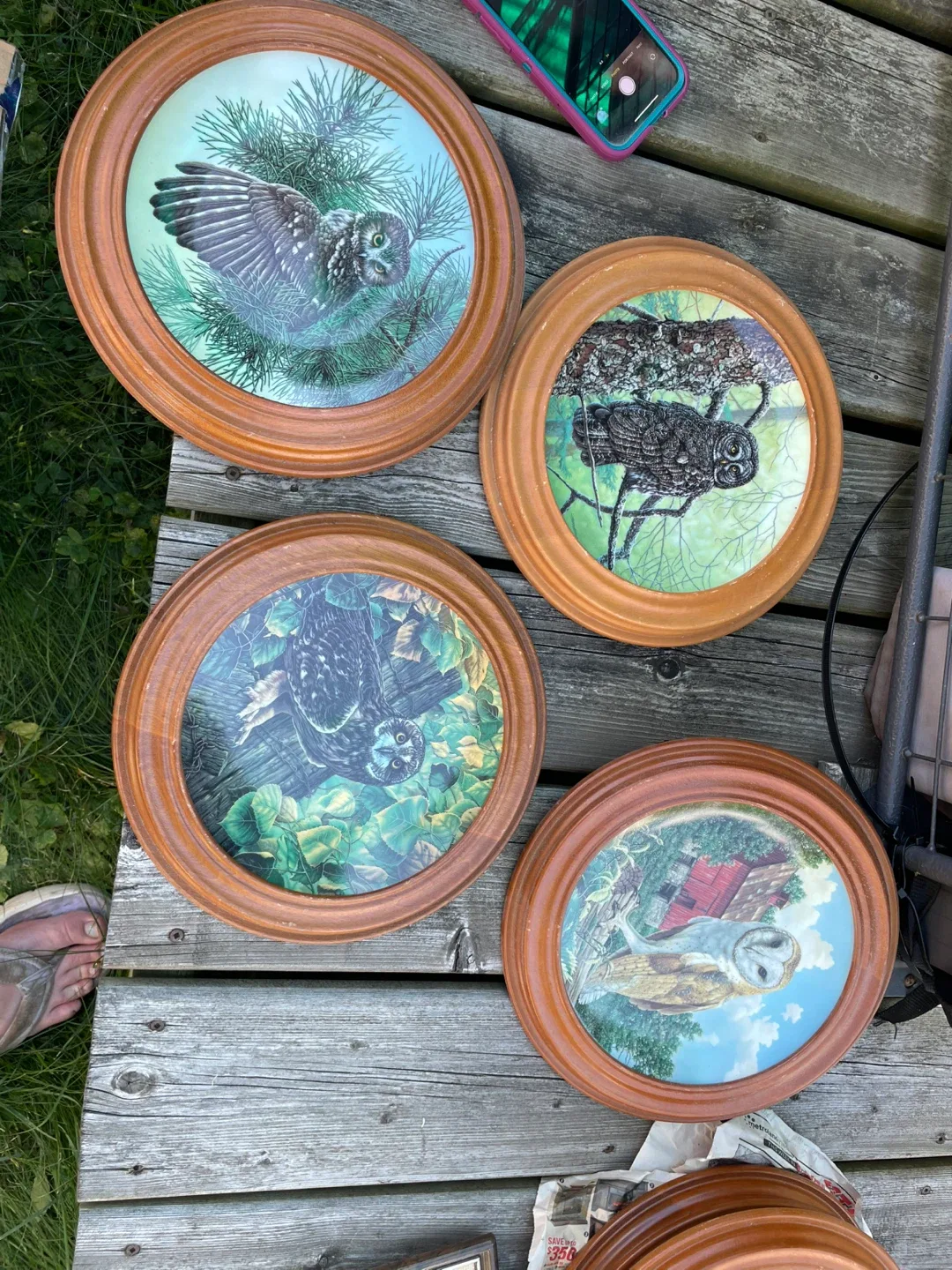 Owl Decorative Plates thumbnail