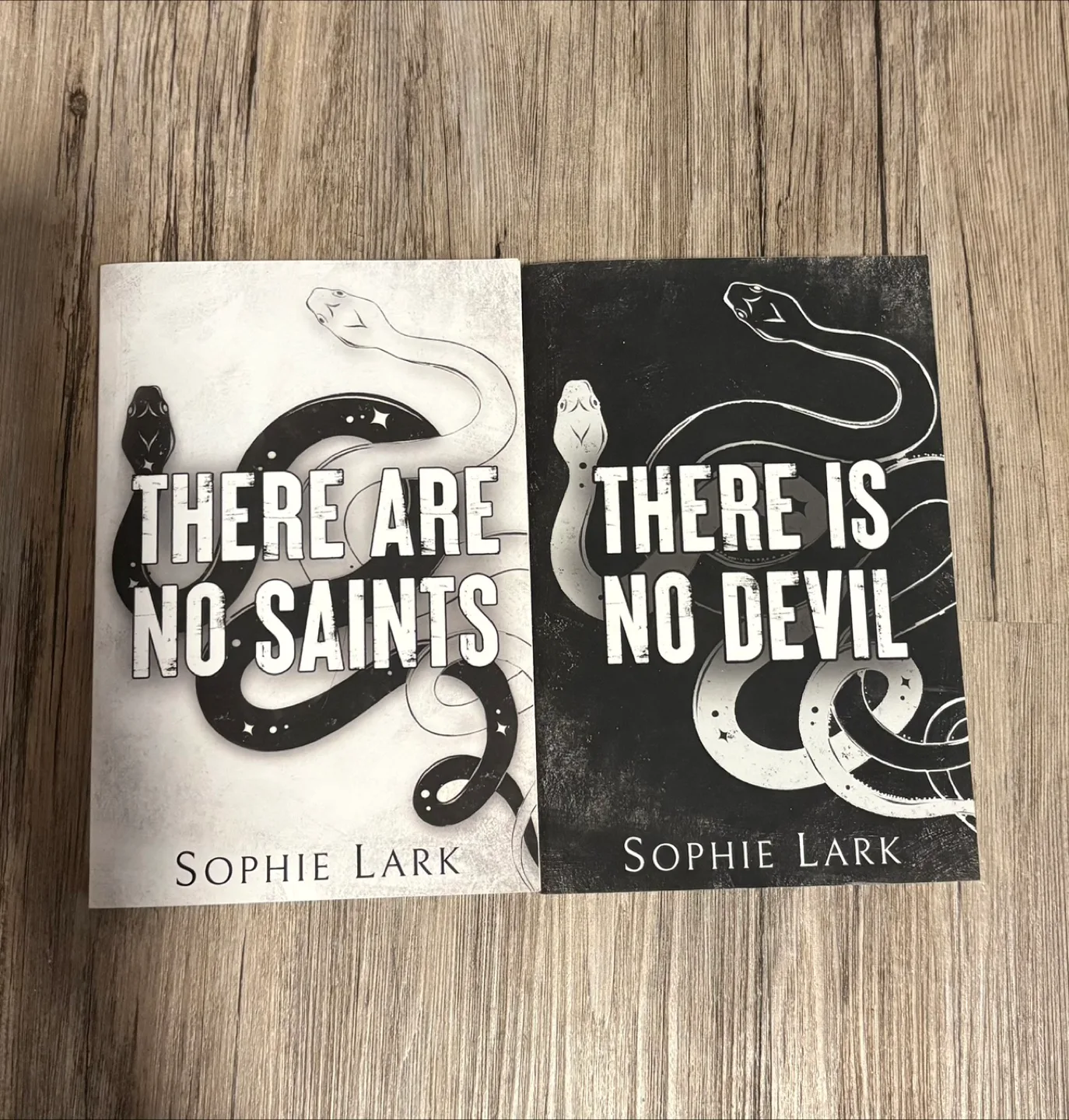 Sophie Lark: There Are No Saints & There Is No Devil thumbnail
