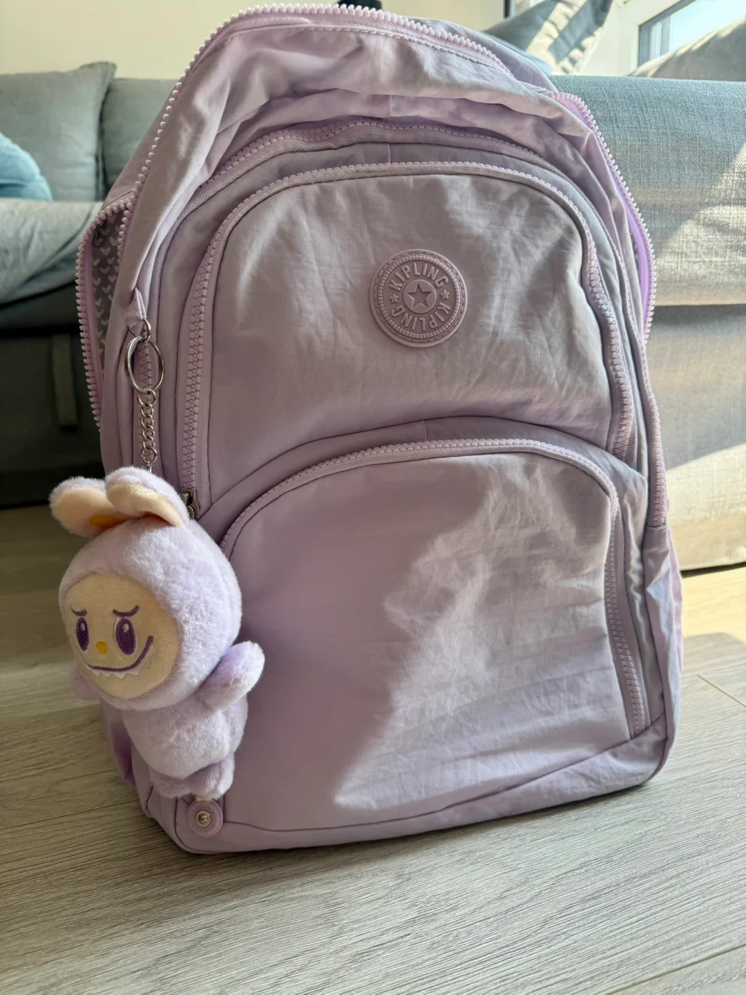 Light weight backpack image indicator(2)