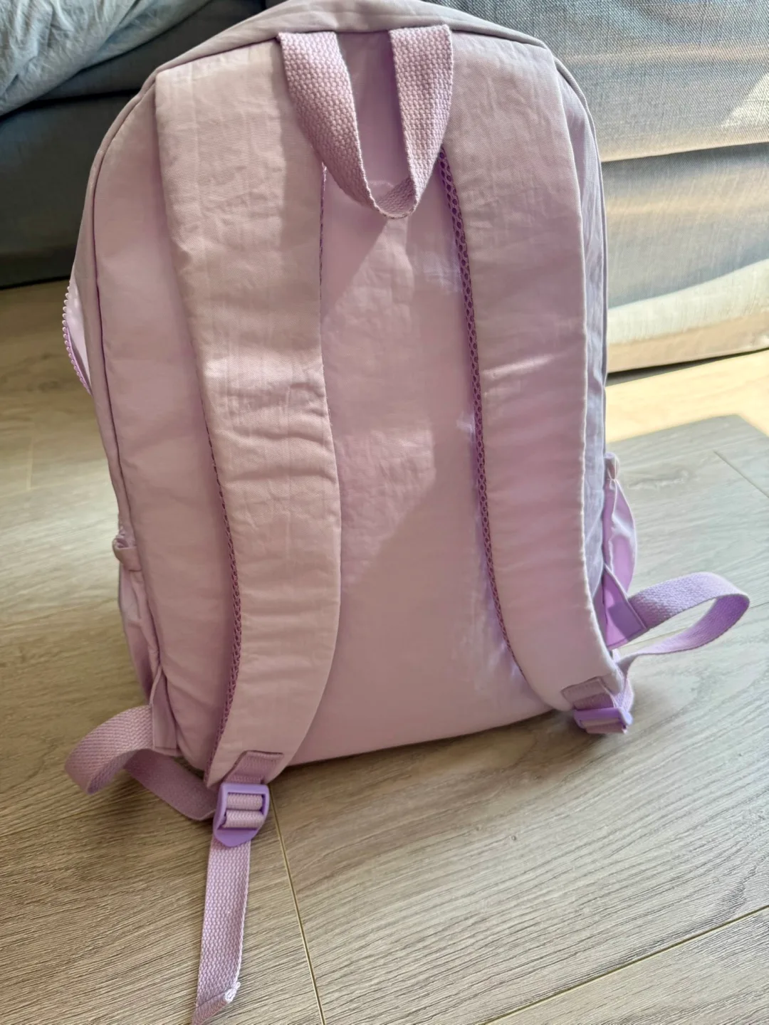 Light weight backpack image indicator(3)